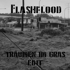 Audiomotor - Flashflood (Lukas Freudenberger Remix [Adrian Leno's "Träumen im Gras" Edit])
