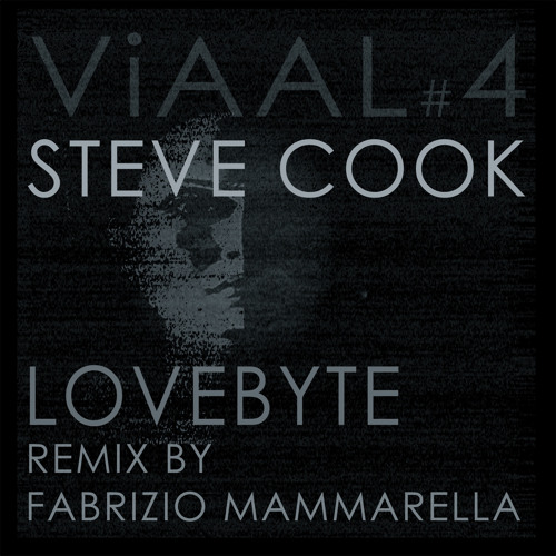 PREMIERE: Steve Cook - Love Byte (Fabrizio Mammarella Remix)