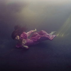 SHED - SHARKS (Steve Watt Remix)