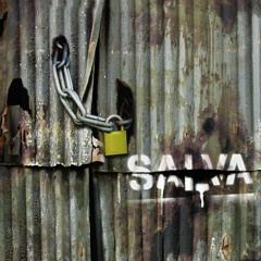 Salva Punk "Rompecabezas" 2008