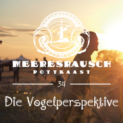 Meerespott #34 - Die Vogelperspektive