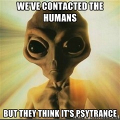 Stupid Humans - Bornvibe