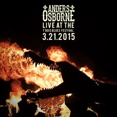 3/21/15 T'Bois Festival, Larose, LA  Boxes, Bills and Pain
