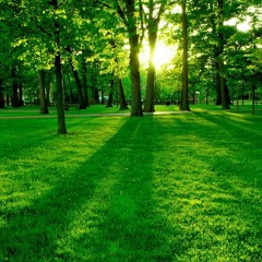 Rejuvenation Sonatina