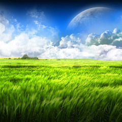 Fields (2)