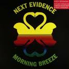 Next Evidence - Morning Breeze (Dimitri From Paris Mix)♫ ♫♫