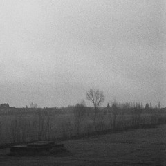 A Wash of Teeth and Eyes