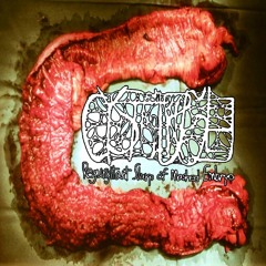 Cystgurgle - Regurgitant Slurp Of Mashed Embryo