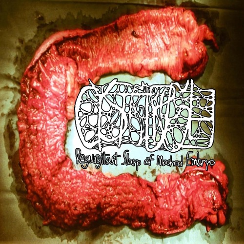 Cystgurgle- Putrefactive Efflux Of Lymph In Decomposition