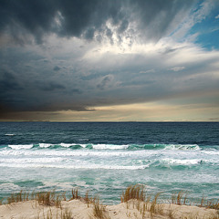 The Sea Calling