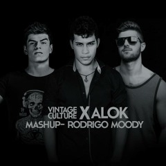 Vintage Culture X Alok (Mashup - Rodrigo Moody)