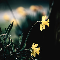 Something To Say (Jaymes Young - Waiting for the Sun Remix)