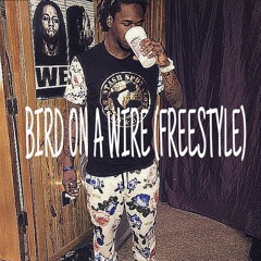 BIRD ON A WIRE (Freestyle)