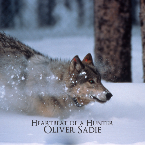 Heartbeat Of A Hunter