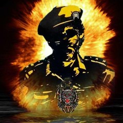 Black Tigers