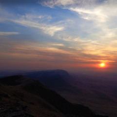 d.pilot_b  first flight in 1961