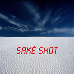 Sake Shot - Your Mom (is a very nice lady)