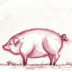 Pata Negra (Mixtape Estereoclub Radio)