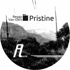 Reggy Van Oers - Pristine (Claudio PRC Remix)
