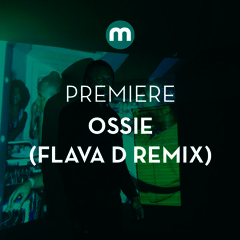 Premiere: Ossie 'The Buzz' (Flava D remix)