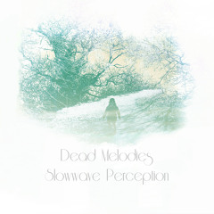 Slowwave Perception