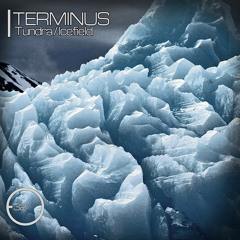 Terminus - Tundra / Ice-field