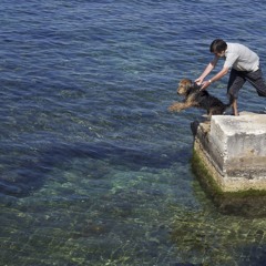 My Dog's Got a Cough