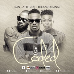 TJan / Attitude / Reekado Banks - Coded {prod. By Echo}