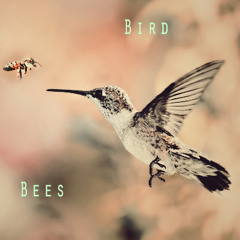 Birdbees