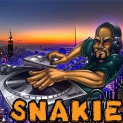 DJ SNAKIE REGGAE EARLY 2000 JUGGLING