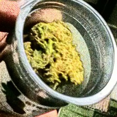 MAFiAMiKEY ON THAT LOUD (How i Feel) Ft DMAC!