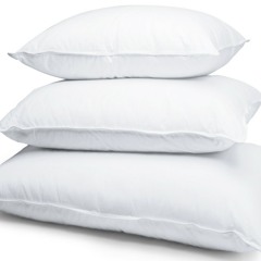 Pillow Thief