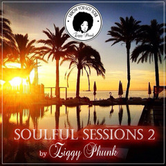 SOULFUL SESSIONS .2 by ZIGGY PHUNK