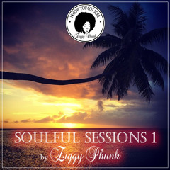 SOULFUL SESSIONS .1  by ZIGGY PHUNK