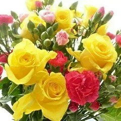 Othe Amla Te Hone Ne Navede