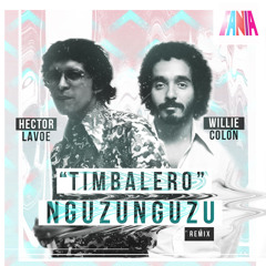 Willie Colon & Hector Lavoe - Timbalero (Nguzunguzu Remix)