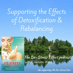 The De-Stress Effect Podcasts: Supporting The Effects Of Detoxification & Rebalancing