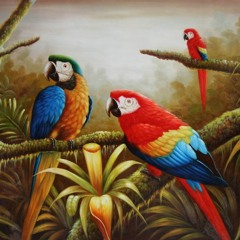 Birds Of Rhythm - Love Each Other (Feat. Yasin)