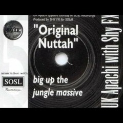 UK Apache - "I was a Nuttah" (FLeCK remix)