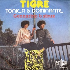 Tonica & Dominante - Tigre 1979 Rare Italian Disco