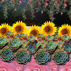 One Time @ Band Camp