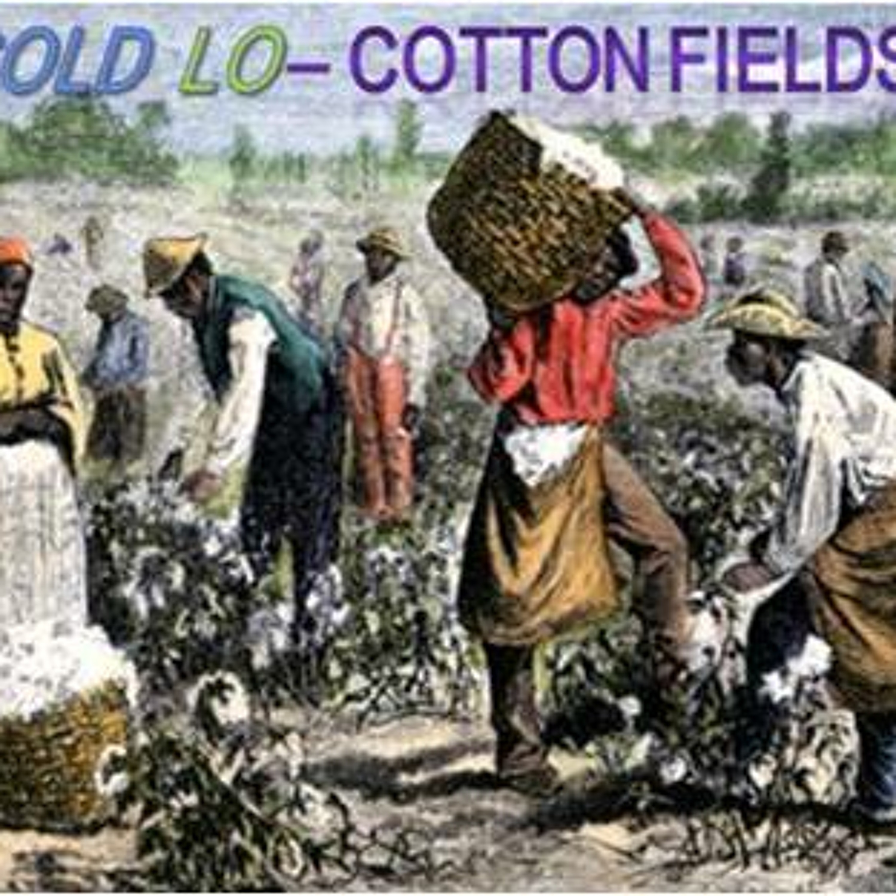 Cotton Fields - Cold Lo episode artwork