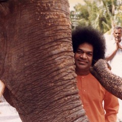 Shyama Murari Bansidhaari..