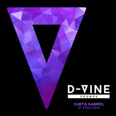 Curtis Gabriel - If You Can (Original Mix)