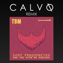 Lost Frequencies - Are You With Me (CALVO Remix)