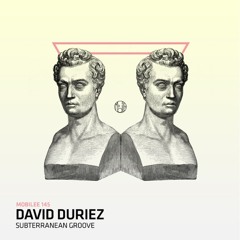 David Duriez - Subterranean Groove (Original Mix)