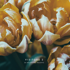 Visitors 2 Preview