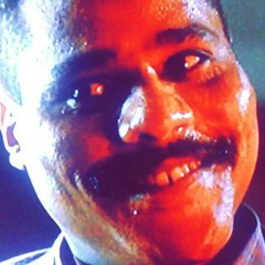 Hibbity Skibbity Bonticus