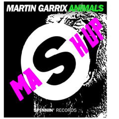 Martin Garrix Vs Pagante - Animals vs Pettinero (DruDj & SiGo - Mashup)