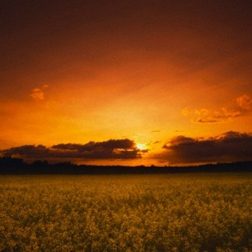 The Shared Responsibility In The Field Dawah By Shaykh Rabee - Abu Khadeejah